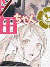 蔷薇之约